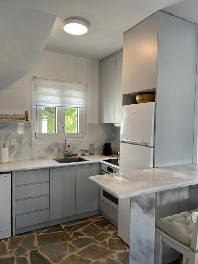 Sea Views - Marble Palace - 2 Floors Tinos Bagian luar foto