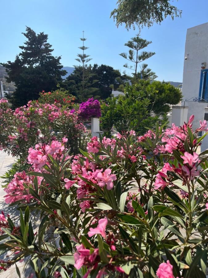 Sea Views - Marble Palace - 2 Floors Tinos Bagian luar foto